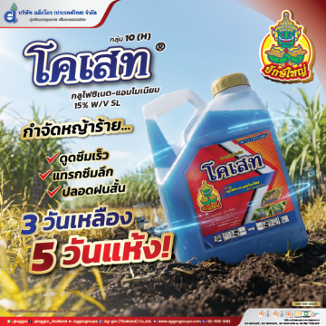 โคเสท